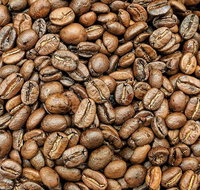 Coffee Guru Ulladulla