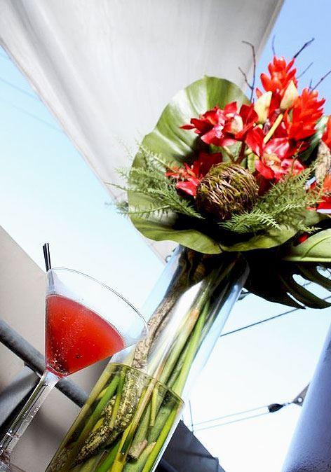 Elephant Rock Cafe Bar & Restaurant - Accommodation Nelson Bay 1