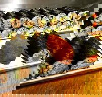 Freewave Sushi  Burgers - Accommodation Nelson Bay