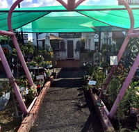 The Next Grind - Accommodation Nelson Bay