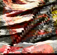 Alfredo's Underground - Accommodation Nelson Bay