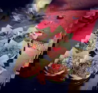 Filosofy - Nelson Bay Accommodation.com