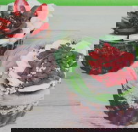 Fresh Blend - Mosman