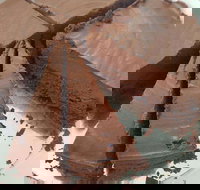 Yakiniku Gyuzo BBQ and Tapas - Accommodation Nelson Bay