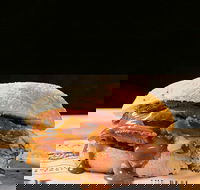 Sandwich Chefs - Accommodation Nelson Bay