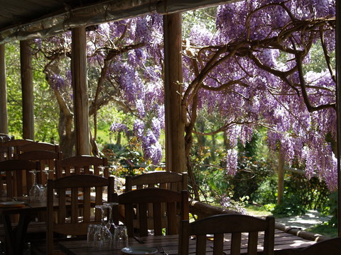 Skillogalee Winery & Restaurant - Accommodation Nelson Bay 2