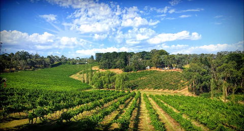 Kellybrook Winery And Kelly Brothers Cider - Nelson Bay Accommodation.com 0