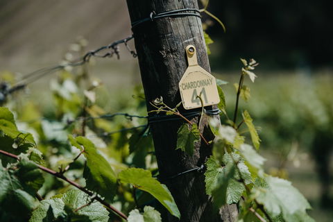 Kellybrook Winery And Kelly Brothers Cider - Nelson Bay Accommodation.com 2