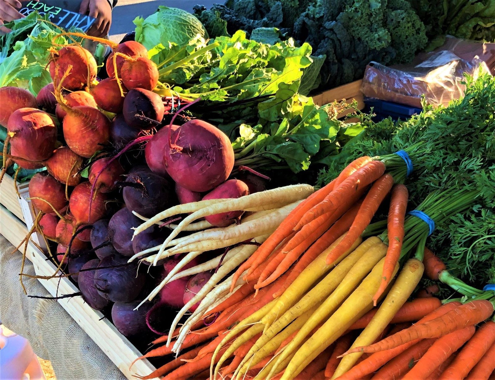 Angaston SA Accommodation Nelson Bay