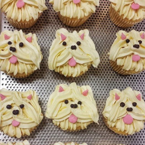 Cupcake Central - Maribyrnong - Nelson Bay Accommodation.com 0