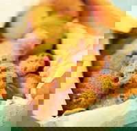 Mrs. Fields - Cockburn Gateway - Success - Accommodation Nelson Bay