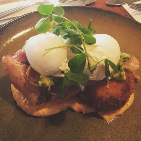 A Fan's Notes - Accommodation Nelson Bay 0