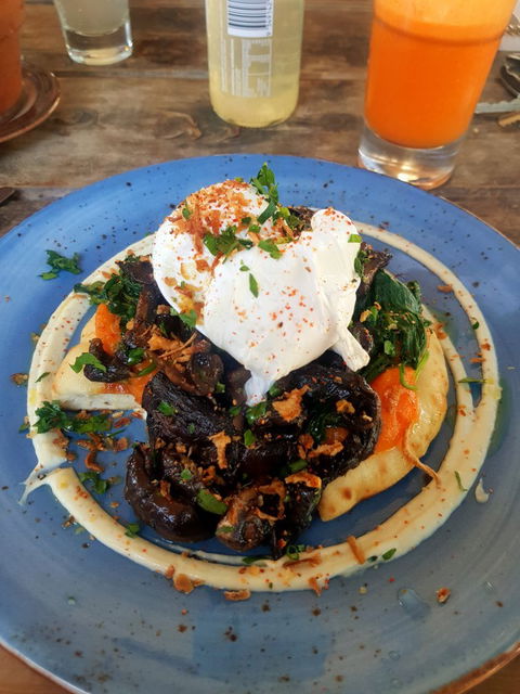 Mister Sunshine's - Nelson Bay Accommodation.com 4