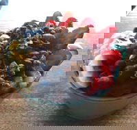 Green Remedy - Accommodation Nelson Bay