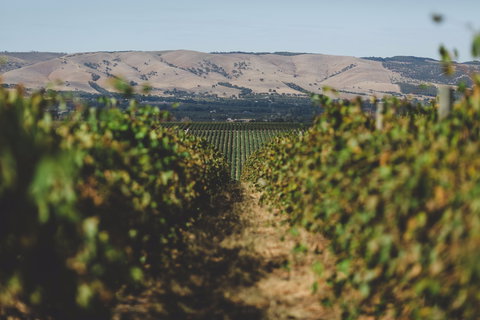 Mr. Riggs Wine Co. - Accommodation Nelson Bay 1