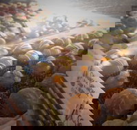 Pompadours Chocolate House - Accommodation Nelson Bay