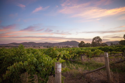 Thistle Hill Wines - Nelson Bay Accommodation.com 2