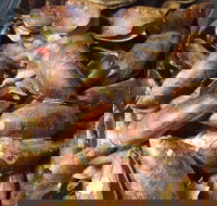 Pacific Eats - Accommodation Nelson Bay