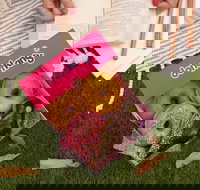 Donut King - Mitchelton - Accommodation Nelson Bay