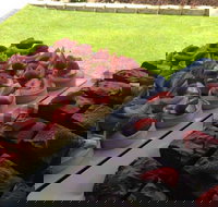 That Food Truck - Accommodation Nelson Bay