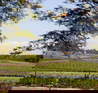 Wynwood Estate - Nelson Bay Accommodation.com