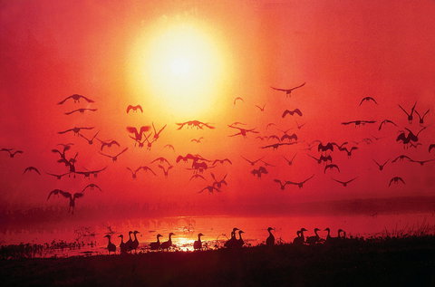 TINH And LAN Vietnamese Restaurant - Accommodation Nelson Bay 0