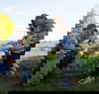 Sunhill Dairy Goats and Sunhill Skin Essentials - Accommodation Nelson Bay