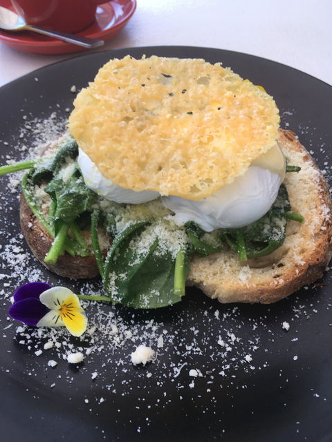 Shaana Cafe - Nelson Bay Accommodation.com 1