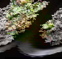 Arthur Waterhouse Lounge - Accommodation Nelson Bay