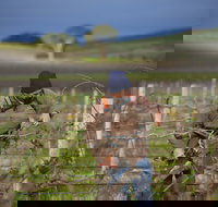 Kurtz Family Vineyards - Accommodation Nelson Bay