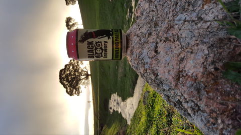 Black Dog Brewery - Accommodation Nelson Bay 2