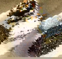 Frollicking Frog - Accommodation Nelson Bay