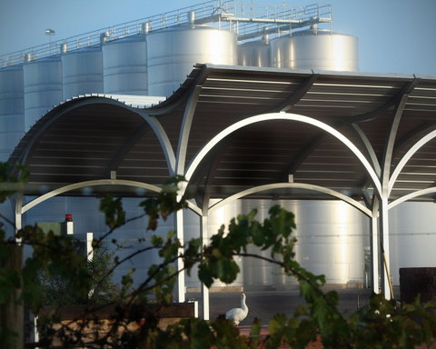 Andrew Peace Wines - Nelson Bay Accommodation.com 2