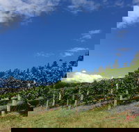 Freycinet Vineyard - Accommodation Nelson Bay