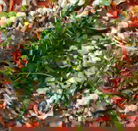 Mount Buninyong Winery - Accommodation Nelson Bay