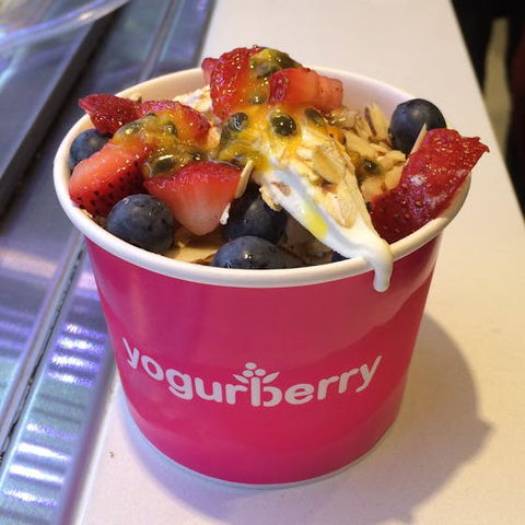 Yogurberry - Bondi Beach - Accommodation Nelson Bay 0