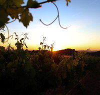 Glenbosch Wine Estate - Nelson Bay Accommodation.com