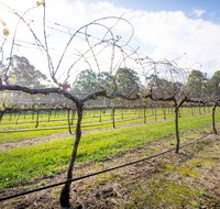 Long Point Vineyard and Art Gallery - Nelson Bay Accommodation.com