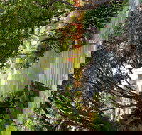 Velvet  Willow - Accommodation Nelson Bay