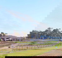 Blacklea Vineyard and Olive Grove - Nelson Bay Accommodation.com