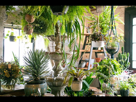 Deadwood - Accommodation Nelson Bay 2