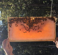 Clayridge Honey - Nelson Bay Accommodation.com