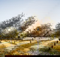 Guneemooroo Estate - Nelson Bay Accommodation.com