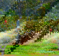 The Red Apron Gourmet Kitchen - Nelson Bay Accommodation.com