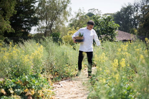 The Wild Flower Bar And Dining - Accommodation Nelson Bay 2