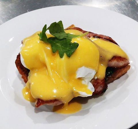 The Teal Turtle Cafe - Accommodation Nelson Bay 3
