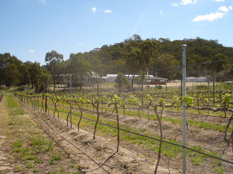 Banca Ridge Cellar Door And Vineyard - Nelson Bay Accommodation.com 2