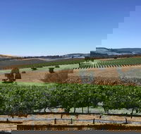 Peerick Vineyard and Winery - Accommodation Nelson Bay