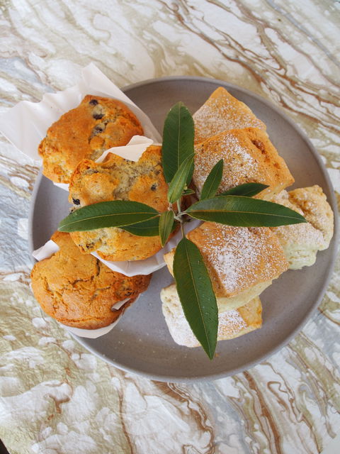 Paperbark Cafe At Kuranga Native Nursery - Accommodation Nelson Bay 1