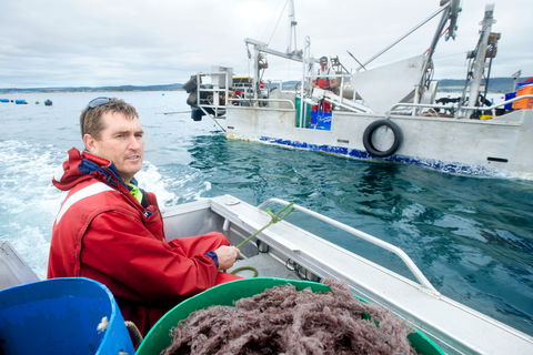 Peninsula Fresh Seafood - Nelson Bay Accommodation.com 0